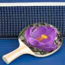 Search for crocus photography Crocuses