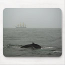 Search for tall electronics Seascape