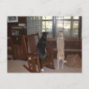 Search for veterinary reminder postcards Dog