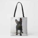 Search for studio shot bags French bulldog