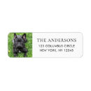 Search for family pet return address labels Photograph