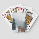 Search for tiger playing cards Snow