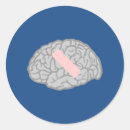 Search for brains stickers Neurology