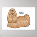 Search for haired posters For kids