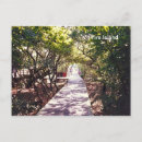 Search for boardwalks Landscape