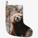 Search for koala bears christmas stockings Wildlife