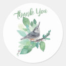 Search for white breasted nuthatch stickers Bird