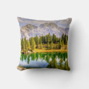 Search for mountain cushions Dolomites
