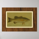 Search for bass fishing posters River