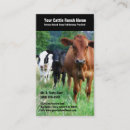 Search for cattle business cards Veterinary