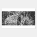 Search for weeping willow stickers Branches