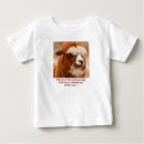 Search for alpaca baby clothes Cute