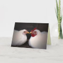 Search for chicken valentines day cards Poultry