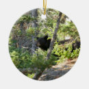 Search for the black forest christmas tree decorations Wildlife