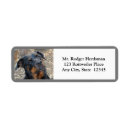 Search for rottweiler return address labels Rottie