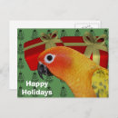 Search for conurs postcards Parrot