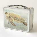 Search for sea turtle lunch boxes Tortoise
