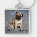 Search for puppy premium square key rings Pug