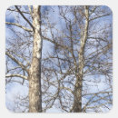 Search for winter sky stickers Trees