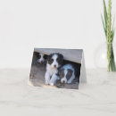 Search for collie puppy cards Border