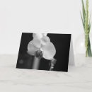 Search for white orchids cards Black and white