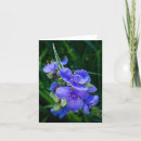Search for blooming plants cards Blossom