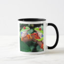 Search for treefrog mugs Red eye