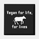 Search for veganism square magnets Cow
