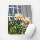Search for white daffodil mousepads Flowers