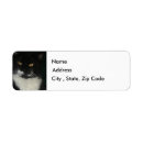 Search for black and white cat return address labels Cats