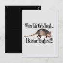 Search for armadillo postcards Texas