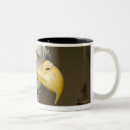 Search for alaska national parks mugs Nature