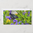 Search for tiger thank you cards Nature