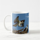 Search for hawk mugs Flying