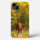 Search for horses iphone cases Horse lovers