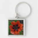 Search for macro photo key rings Closeup
