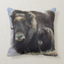 Search for danita delimont cushions Usa