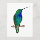 Search for backed postcards Bird