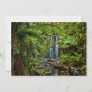 Search for forests cards Woods