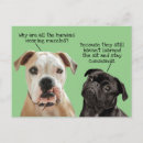 Search for black mask postcards Funny