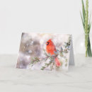 Search for juniper cards Snow