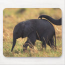 Search for touching mousepads Animal