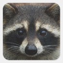 Search for staring stickers Wildlife