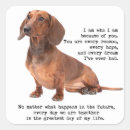 Search for brown dachshund stickers Pet