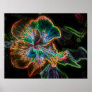 Search for hibiscus art Colourful