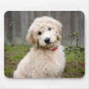 Search for mixed breed electronics Pet