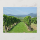 Search for vins postcards France
