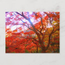 Search for colored leaf postcards Tree