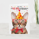 Search for bengal cat birthday cards Cats