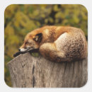Search for nap time stickers Sleep